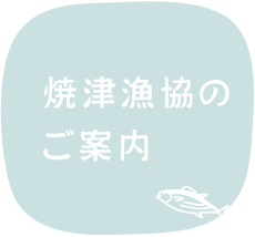 焼津漁協のご案内