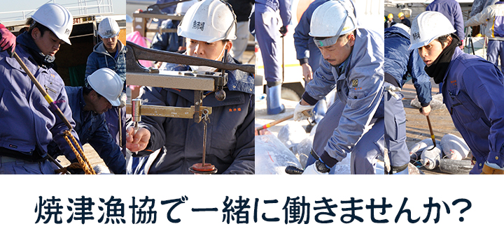 焼津漁協で一緒に働きませんか?