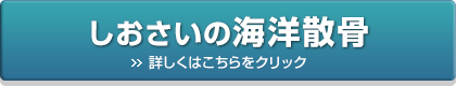 しおさいの海洋散骨葬