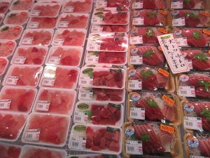 本日のおすすめ品!!