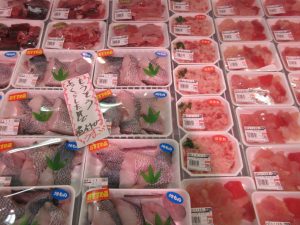 本日のおすすめ品