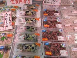 本日のおすすめ品