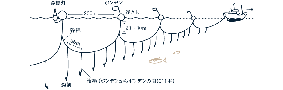 はえなわ漁法図